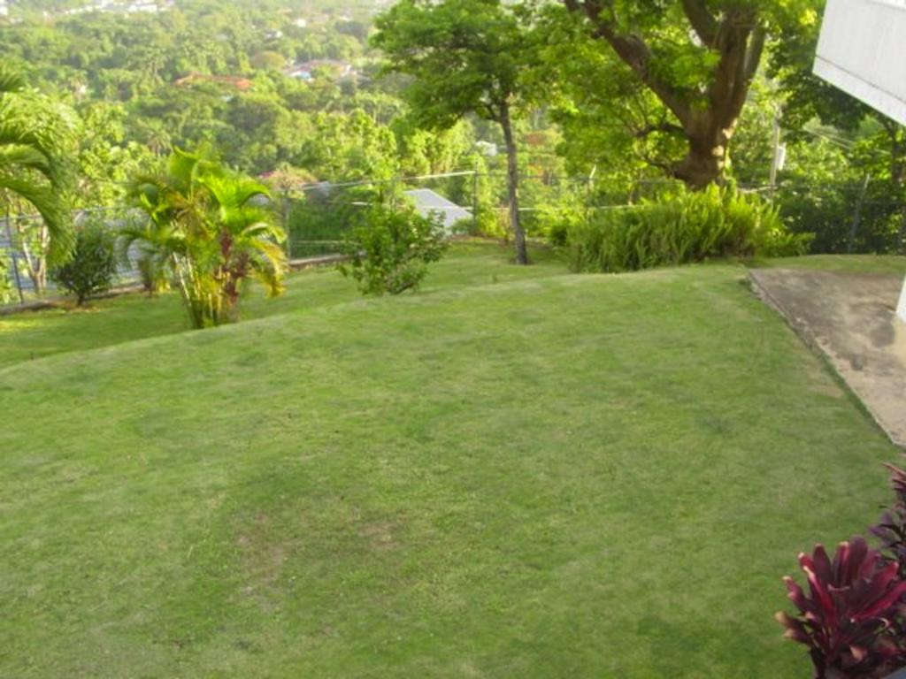 Hill Top Kingston Jamaica Εξωτερικό φωτογραφία